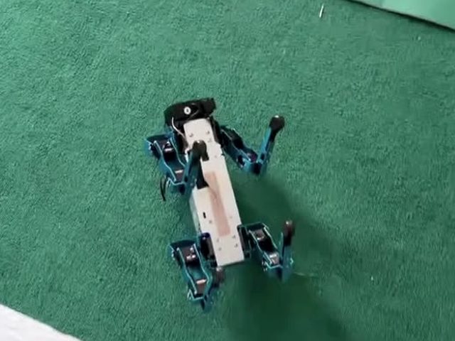 The XGO quadruped lying on its back on turf, mid fall-recovery, legs in the air.