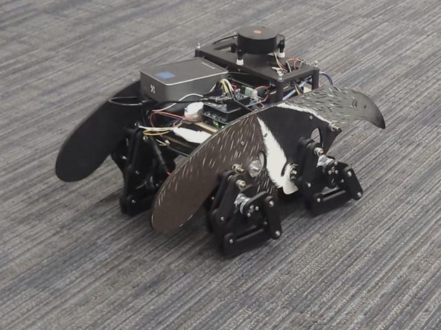 The six-bar walking robot in its laser-cut magpie shell on lab carpet, seen from a raised three-quarter angle: the LiDAR and compute box on the top deck, the etched head and wing panels, and the black linkage legs beneath.